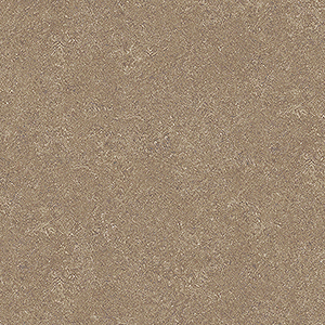 TS2439