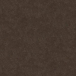 TS2440