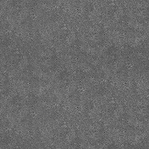 TS2442