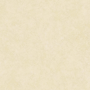 TS2446