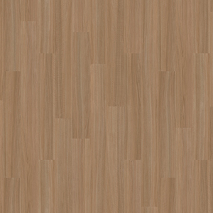 TS5210