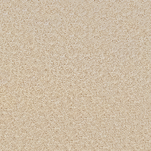 TS7101