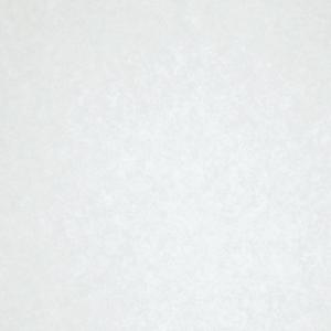 TTN1101