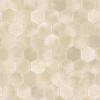 CF3764_20240723_112422.jpg