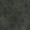 ECT5026_20241018_100439.jpg