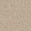 NS815_20241205_103516.jpg