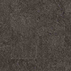 NS831_20241205_103600.jpg
