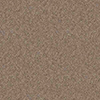 NS866_20241205_103648.jpg