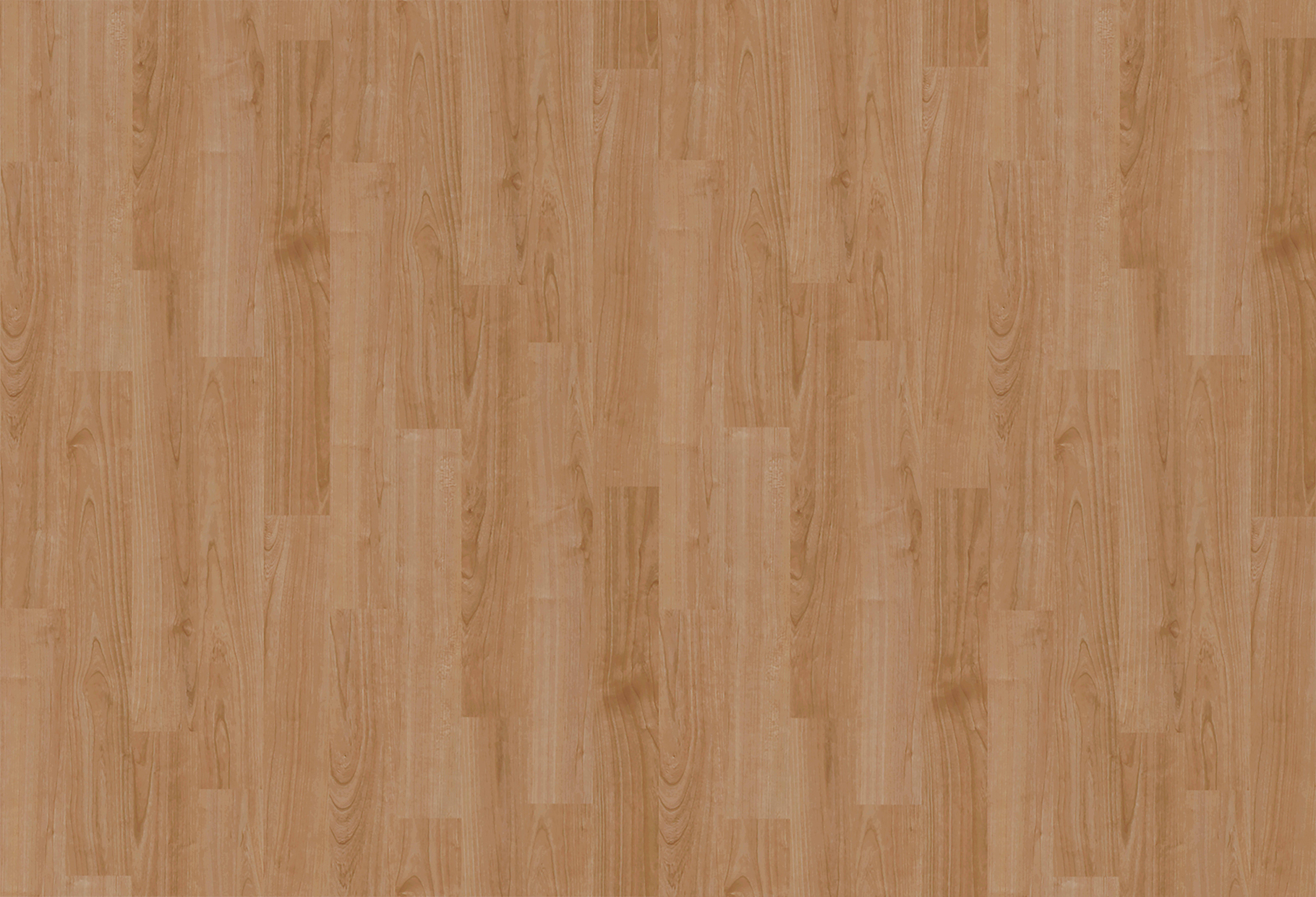 TS2407_A_1.jpg?20250414151338