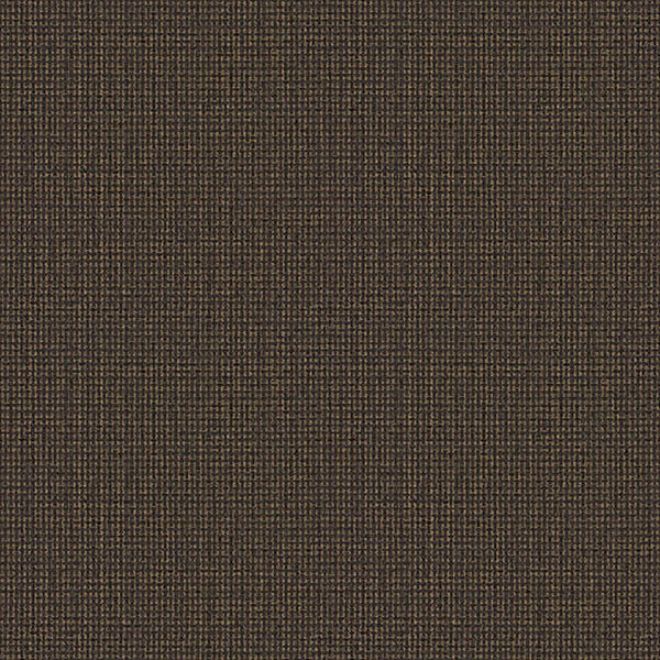 WEM31302.jpg