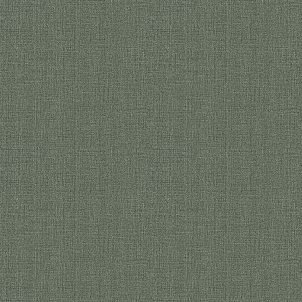 WVC817.jpg