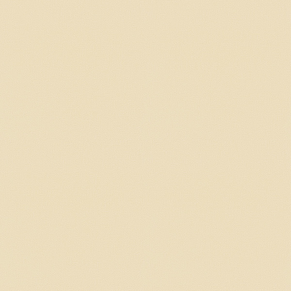 WVC832.jpg