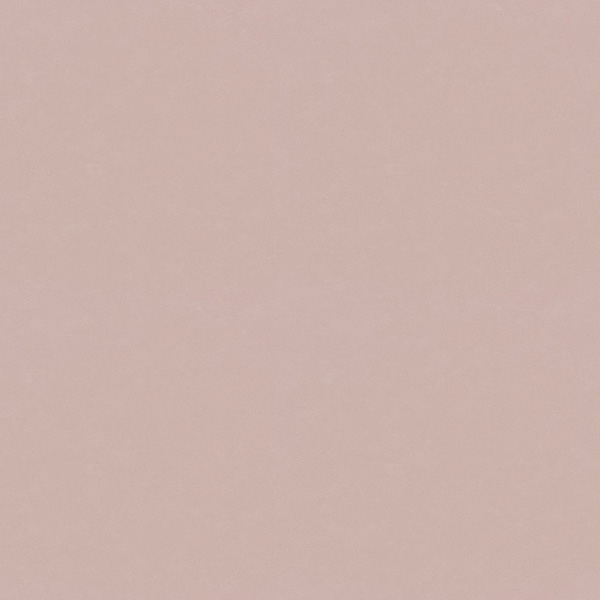 WVC855.jpg