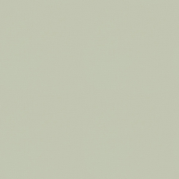 WVC869.jpg