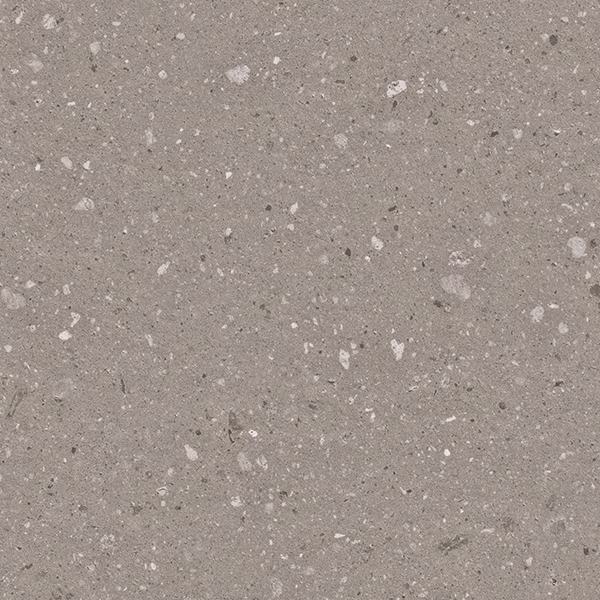 WVP8009.jpg