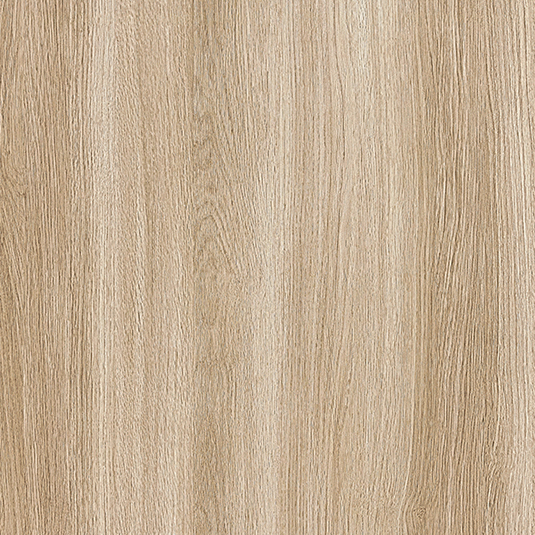 WVP8040.jpg