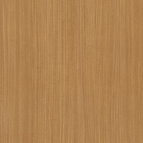 WVP8058.jpg