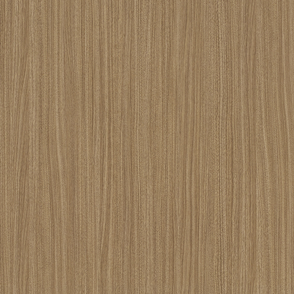 WVP8061.jpg