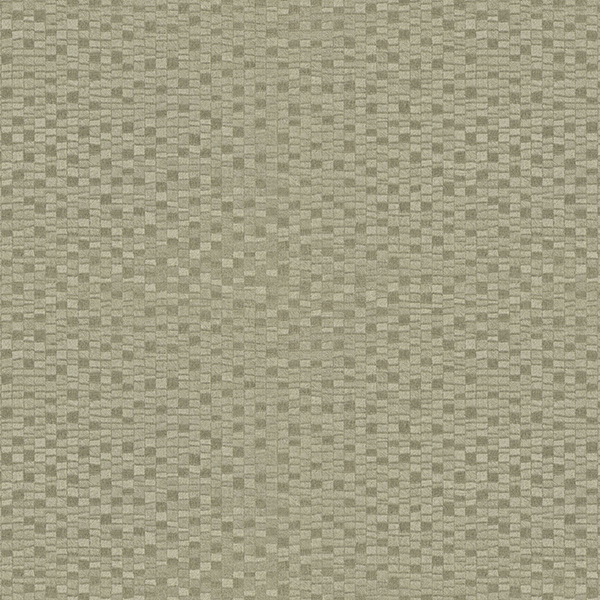 WVP8073.jpg