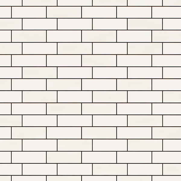 WVP8093.jpg