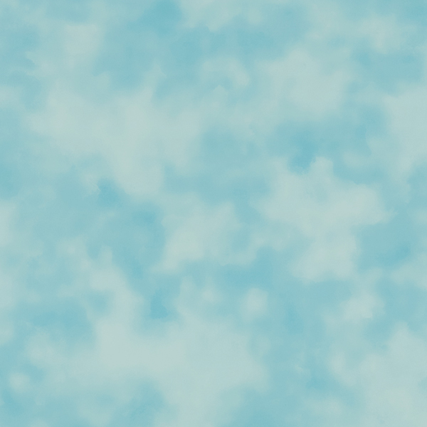 WVP8130.jpg