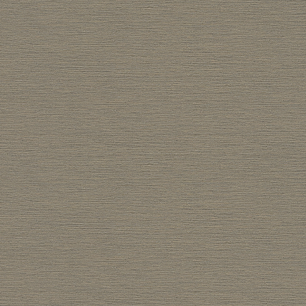 WVP8159.jpg