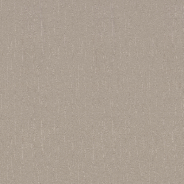 WVP8161.jpg