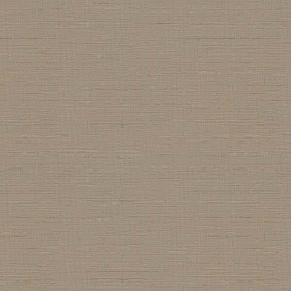 WVP8250.jpg