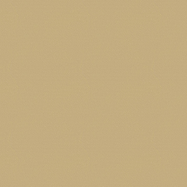 WVP8276.jpg