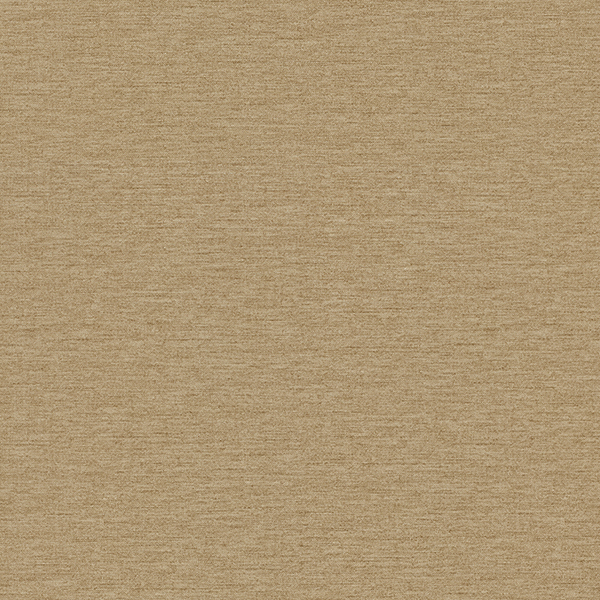 WVP8334.jpg