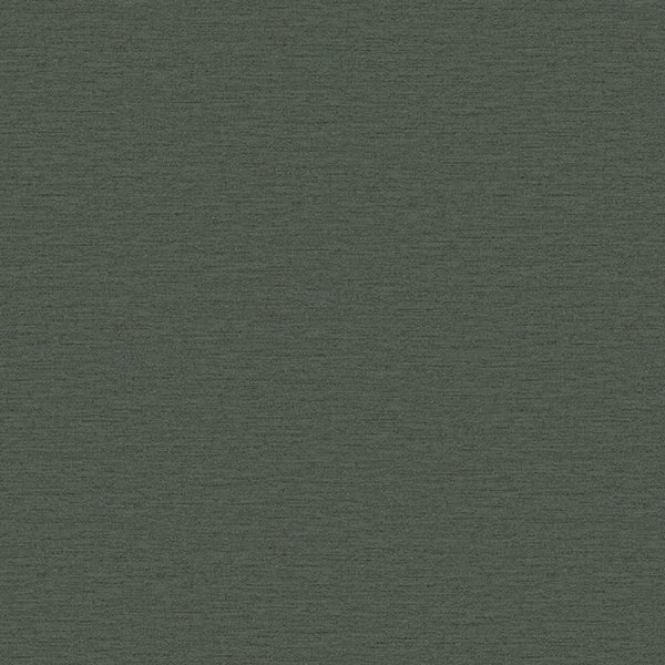 WVP8339.jpg