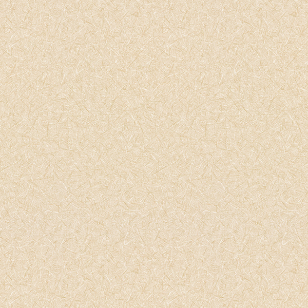 WVP8362.jpg