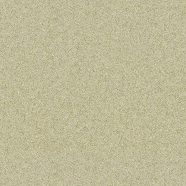 WVP8367.jpg