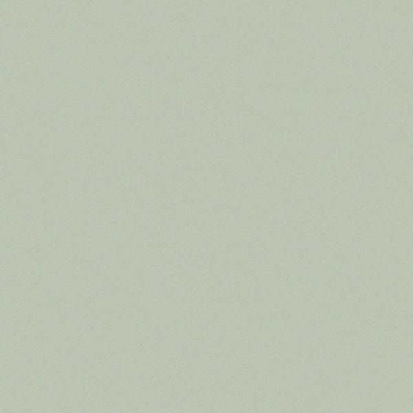 WVP8390.jpg