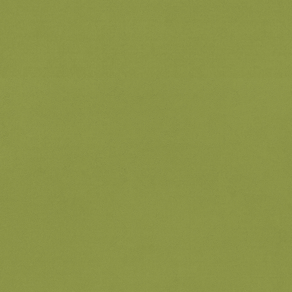 WVP8397.jpg