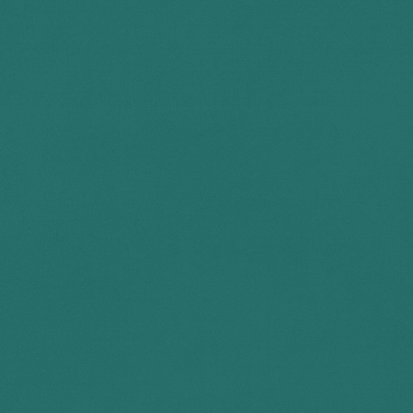 WVP8399.jpg