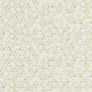 WVP8091