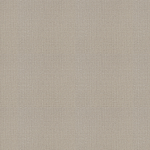 WVP8156