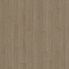 WRW8282.jpg