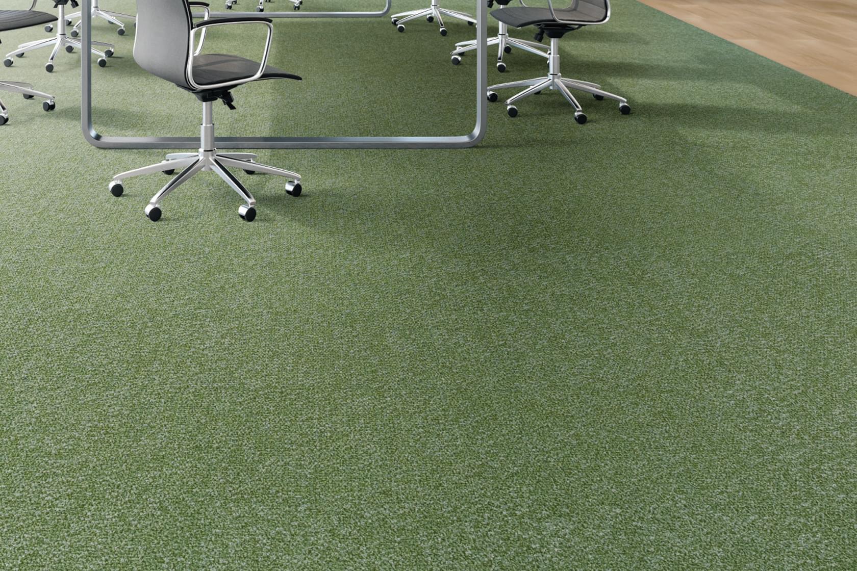 02_シダーライン