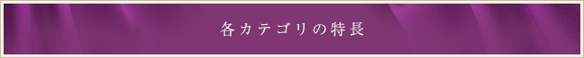 各カテゴリの特長