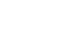 LVT