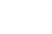 LVT