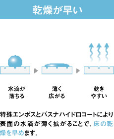 乾燥が早い