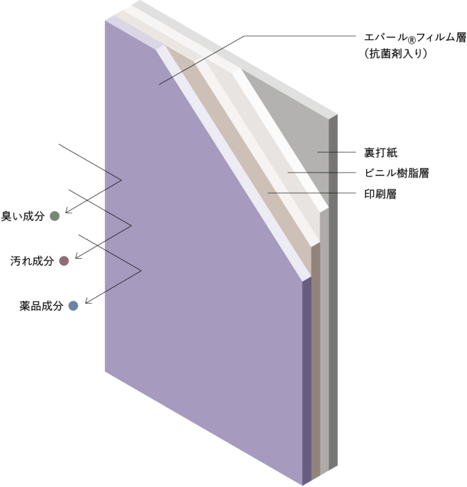 構造図