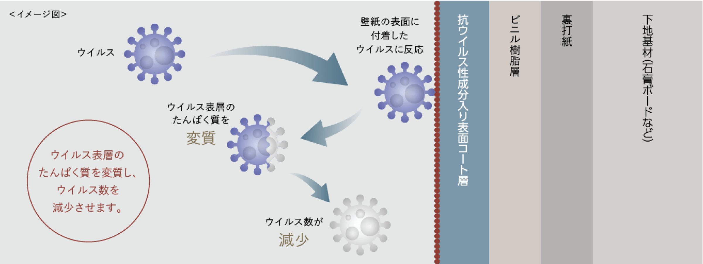 抗ウイルスメカニズム