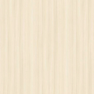 クスノキのパターン画像