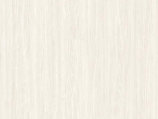 WRW9240 エルム / 板柾