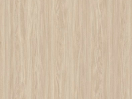 WRW9241 エルム / 板柾