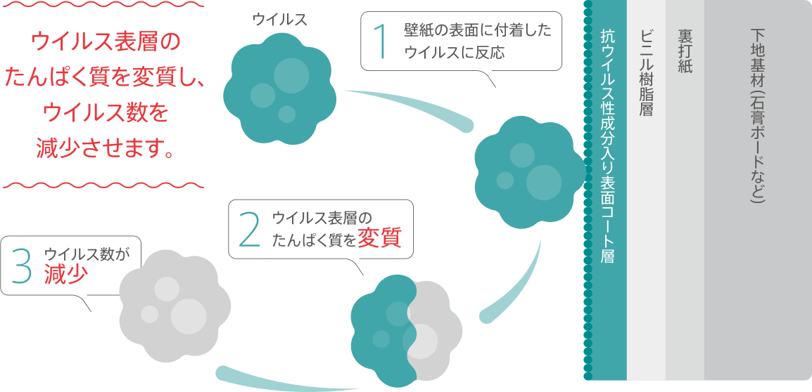ウイルス表層のたんぱく質を変質し、ウイルス数を減少させる抗ウイルスメカニズム